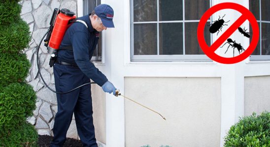 İvrindi Hamam Böceği İlaçlama böcek ilaçlama ve haşere kontrolü — ilaclama-tr.com